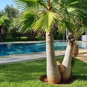 Les Deux Citronniers 3*, Marrakesh Marocco